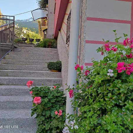 Mountain - Apartment